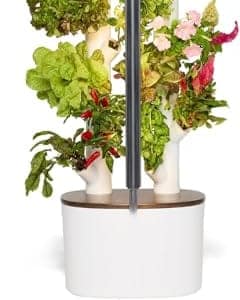 Gardyn Studio Hydrocultuur Kweeksysteemkit & Verticale Indoor Garden Planter - Smart Herb Garden - Inclusief 16 niet-GMO kamerplanten, kruiden, groenten en LED-kweeklamp - Geschenken voor papa