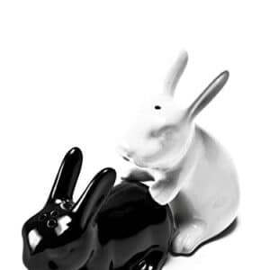 ondeugend zout en peper stel