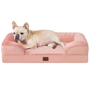 EHEYCIGA Orthopedisch Hondbed voor Kleine Honden, Memory Foam Hondenmand voor Middelgrote Honden, Wasbaar Hondensofa Waterdicht Antislip, Hondenbank met Hoge Rand