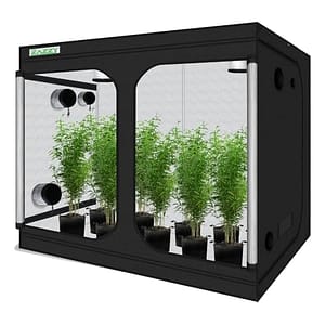 Zazzy Kweektent, 120"x60"x78" Hydrocultuur Mylar Kweektent Reflecterende Tuin Groeiende Donkere Kamer met Observatievenster, Verwijderbare Vloerlade en Gereedschapstas voor Binnenplanten Groeien 10x5